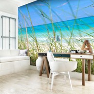 Foto tapeta Tropical journey 250x193