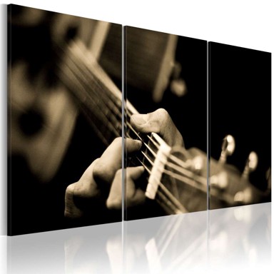 Slika The magic sound of a guitar 120x80