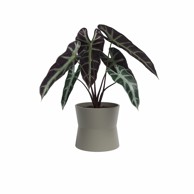 ARTEVASI Keramička tegla za cvijeće ø 20 cm Diana 