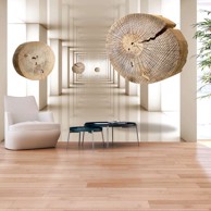 Samoljepljiva foto tapeta Flying Discs of Wood 245x175