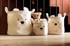 CHILDHOME Kutija za igračke Teddy Off White 25x20x20 cm, bijela