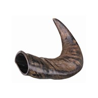 TRIXIE Poslastica za pse Rog Bivola M