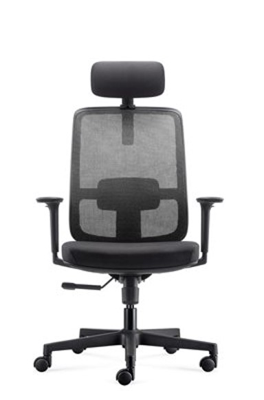 ERGOVISION Ergonomska uredska stolica Ergo Basic 02, crna