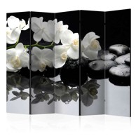 Sobna pregrada u 5 dijelova Spa Stones and Orchid II 225x172