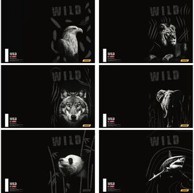 TARGET Set bilježnica, Animal Wild, A4, linije, meki uvez, 54 lista, 10 kom