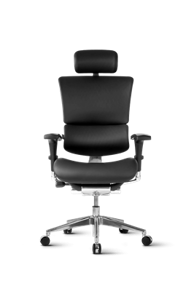 ERGOVISION Ergonomska uredska stolica Smart Deluxe, crna