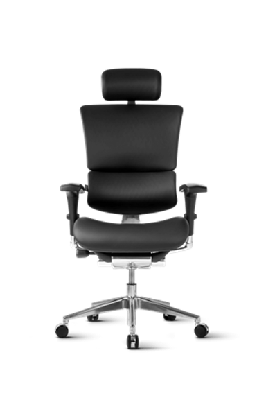 ERGOVISION Ergonomska uredska stolica Smart Deluxe, crna