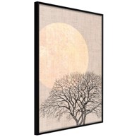 Poster Tree in the Morning 40x60