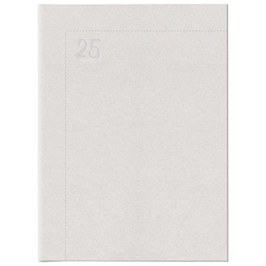 NOLI Rokovnik A4 E30, 2026, srebrni