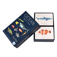 REX LONDON Igra s karticama Ocean