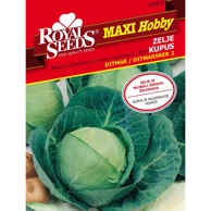 ROYAL SEEDS Sjeme povrća 10 kupus ditmar