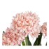 IXIA Umjetna biljka Hyacinth, visina 100 cm  