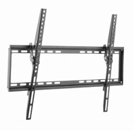GEMBIRD Zidni nosač za TV 37'' - 70'' do 35kg, WM-70T-03