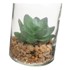 CASA SELECCION Umjetne biljke u setu 4 kom Cactus, visina 12 cm  