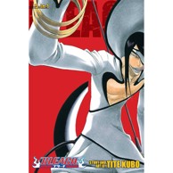 Bleach 3-in-1 vol. 11