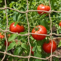 Mreža za potporu biljaka od jute 1x50 m, prirodna boja