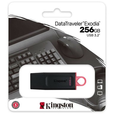 KINGSTON USB flash stick DataTraveler Exodia, 3.2 Typ A - 256 GB DTX/256GB