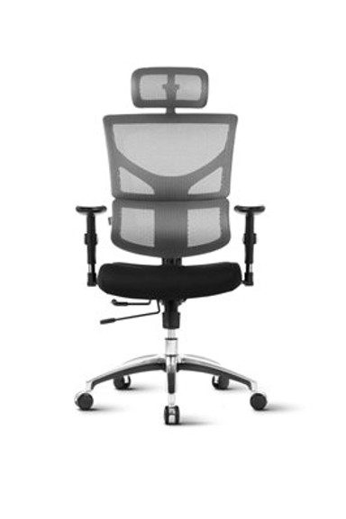 ERGOVISION Ergonomska uredska stolica Smart Basic, siva