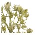 IXIA Umjetna grančica, visina 55 cm