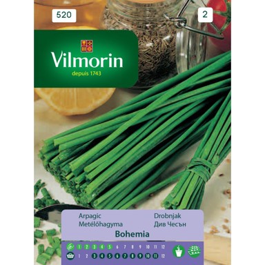 VILMORIN Sjeme začina Vlasac