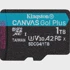 KINGSTON Memorijska kartica microSDXC CANVAS GO PLUS, 1TB, UHS-I U3, Class 10, V30, A2, crna