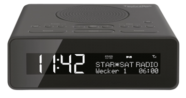 TECHNISAT Radio DigitRadio 51 antracit