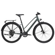 TREK Bicikl Dual Sport 2 Equipped Stagger, , 2024