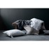 UNIVERSE OF SLEEPING Punilo za jastuk s punjenjem od perja, 50x70 cm Capella High