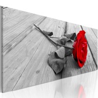 Slika Carmine rose 120x40