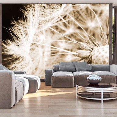 Foto tapeta Dandelion sepia 200x140