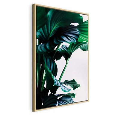 Slika Springy Leaves, jednodijelna, okomita, 40x60 cm