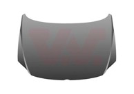 VAN WEZEL Hauba VW Polo Fox 05-