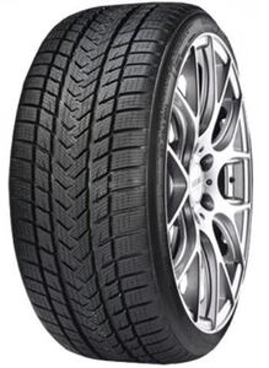 GRIPMAX Zimske gume 205/40R18 86V Pro Winter
