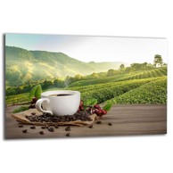 TMK ARTDEKO staklena zaštitna ploča za štednjak 80 x 52 cm, motiv kava