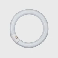 Fluo cijev paulmann lc g10q 40w/29-827 t9 3000k