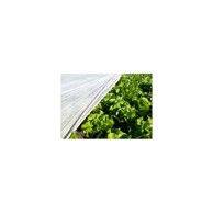 GARDENER Agril folija 1,6 m x 5 m