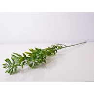 Rezano cvijeće Grana zelenila 60 cm