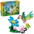 LEGO Konstrukcijski set Creator 3 in 1 Wild Animals Colorful Hummingbird 31384