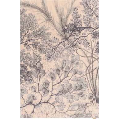 AGNELLA Mentol zeleni/bež vuneni tepih 200x300 cm V&A Calisia Kelp 