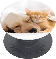 POPSOCKETS Držač i stalak PopGrip Basic Cat and Dog