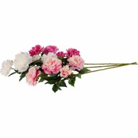 Rezano cvijeće Grana božur 110 cm GFS005291