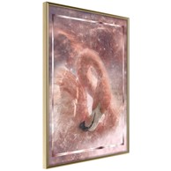 Poster Stellar Bird 30x45
