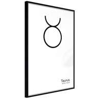 Poster Zodiac: Taurus II 40x60