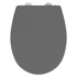 WENKO Siva WC daska od nehrđajućeg čelika Vorno