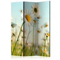 Sobna pregrada u 3 dijela Daisies - spring meadow 135x172