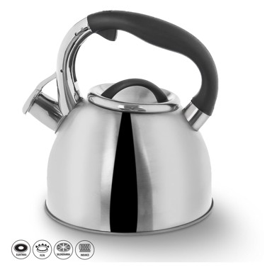 ORION Čajnik od nehrđajućeg čelika sa preklopnom zviždaljkom Darek, 2, 7 l