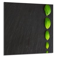 TMK Staklena zaštita za štednjak ili ploču za kuhanje 60x65, basil