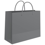 FORNAX Ukrasne vrećice, sjajna plastifikacija, 24 x 16 x 7 cm, sorto
