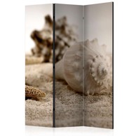 Sobna pregrada u 3 dijela Beach and shell 135x172