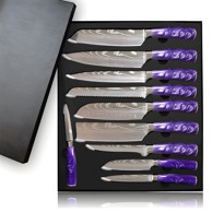 Set kuhinjskih noževa KN-13830, 10 kom, ljubičasti